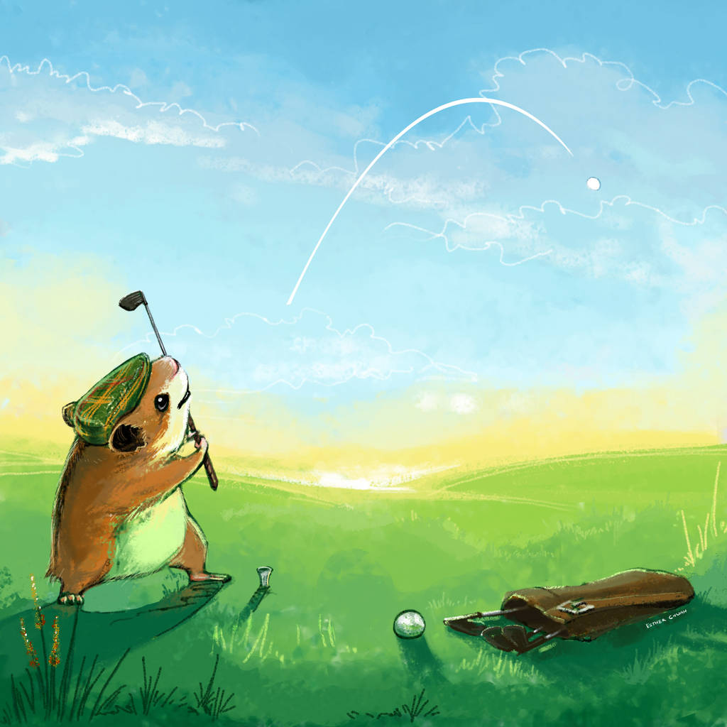 2 golf balls (and a hamster with a hat) by frostcrystal