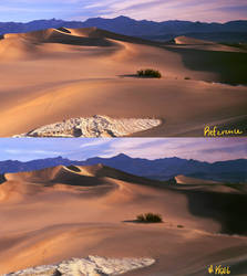 Desert Landscape