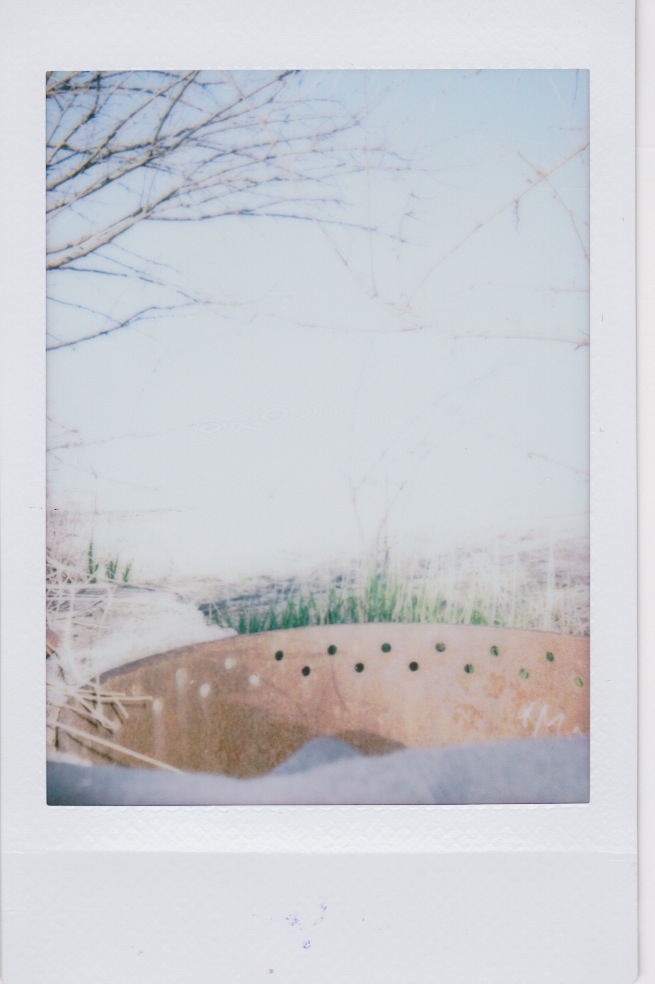 Polaroid 15