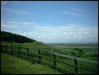 Fenced Enclosure