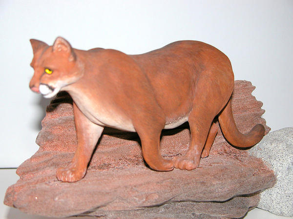 Mountain Lion