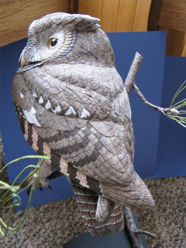 Screech Owl 5