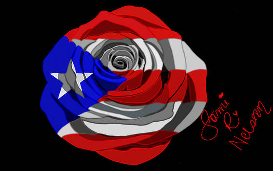 Puerto Rican Rose 