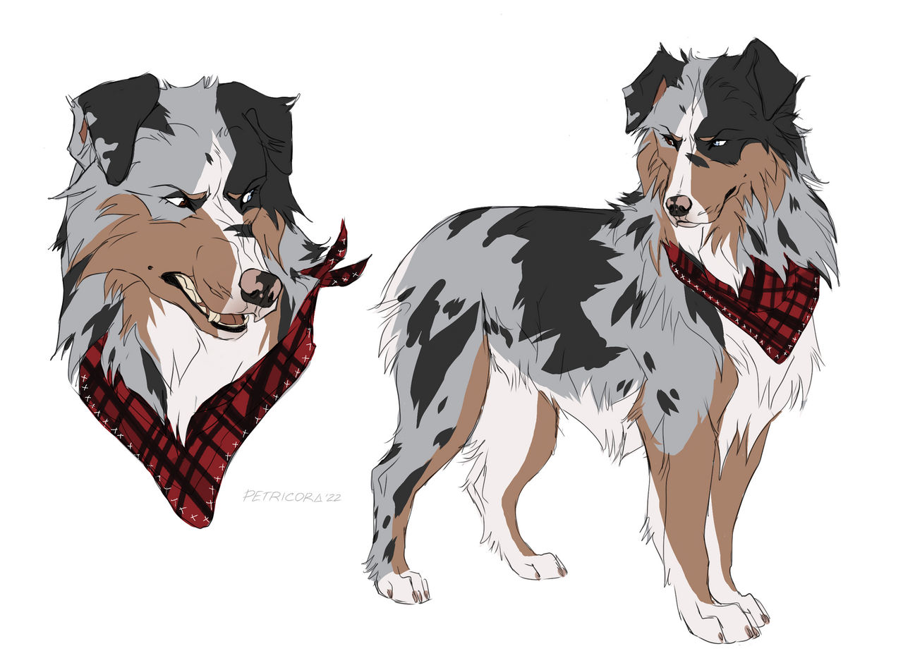 Archie sketches by Petricora on DeviantArt