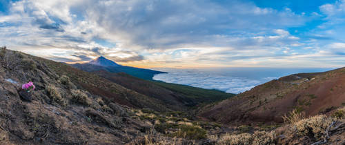 Teide panoramic