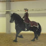 Friesian 1