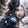 Yin Yang