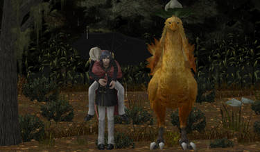 Waiting in the Rainy Day with Chocobo