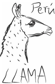 Peruvian llama