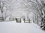 Snow Covered Fence by StrandedAutumn