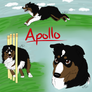 BBR Training - Apollo's Agility