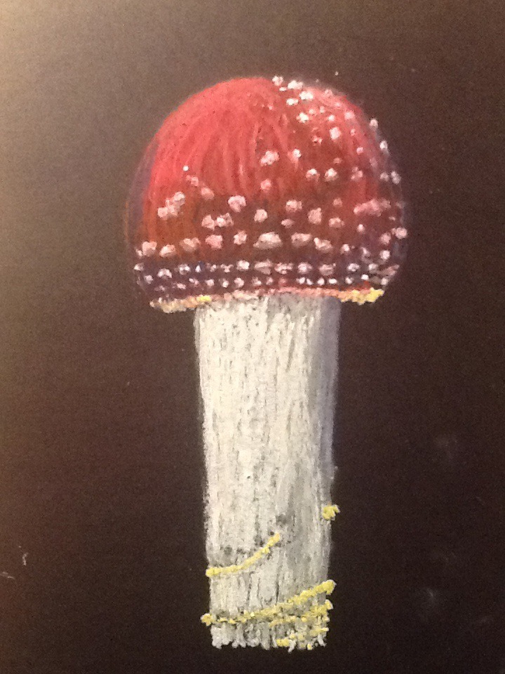 Oil Pastel Mushroom