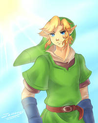 Skyward Sword: Link