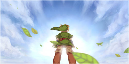 Skyward Sword: The sea of clouds