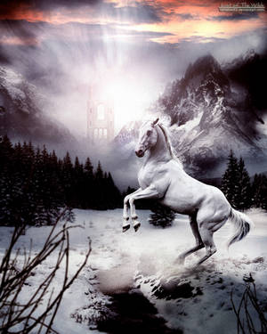 Last Of The Wilds by Tanatos83 Last Of The Wilds by Tanatos83