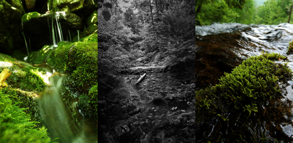 Cascade Collage