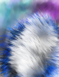 Abstract - Fur Experiment