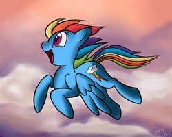 Majestic Dashie