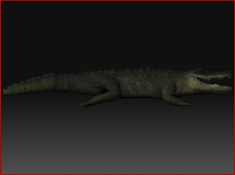 Zbrush Alligator Side