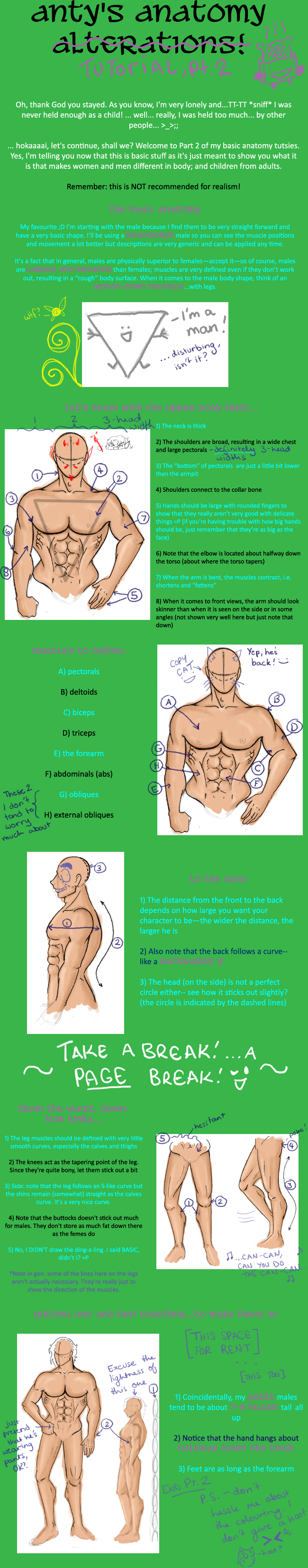 Anatomy Tutsies, pt.2