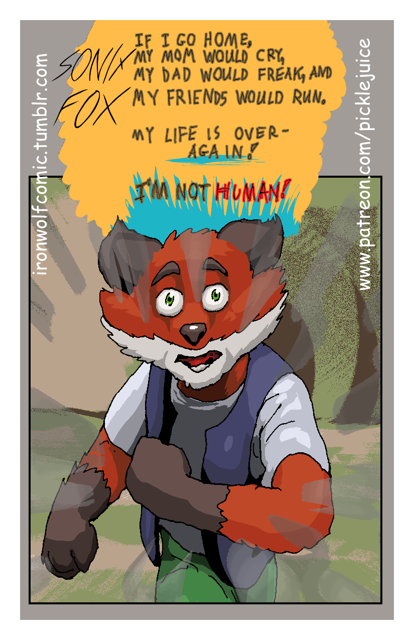 Sonix Fox Promo Card for MSP Springcon