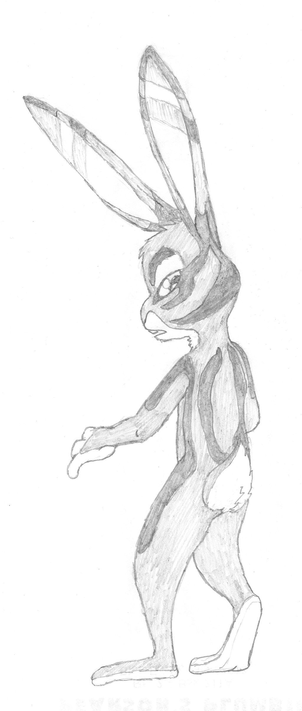Jack Savage (Sumatran Rabbit)