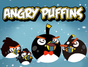 Angry Puffins