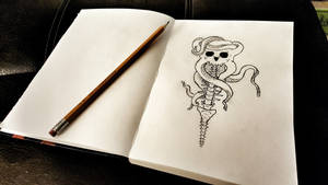 Skull Octopus Tattoo Sketch
