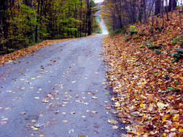 Fall Country Road