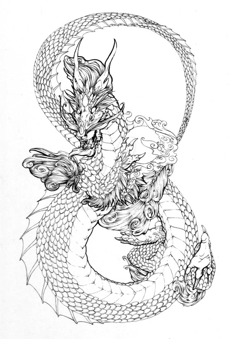 Dragon graphics. Дракон тату эскиз. Китайский дракон тату. Японский дракон. Китайский дракон эскиз.