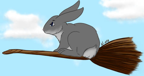 Rabbit+Broom