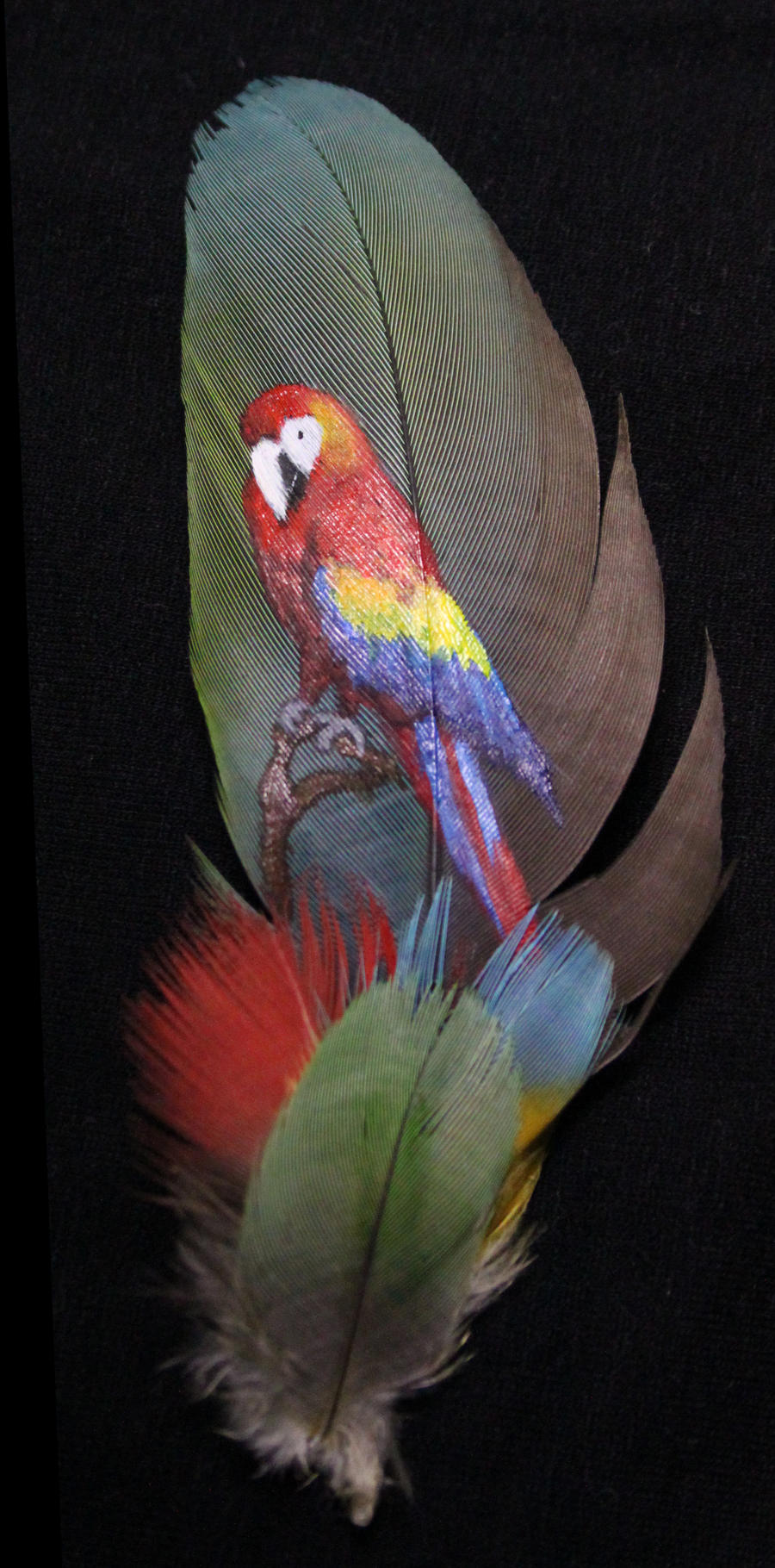 Macaw feather Painting