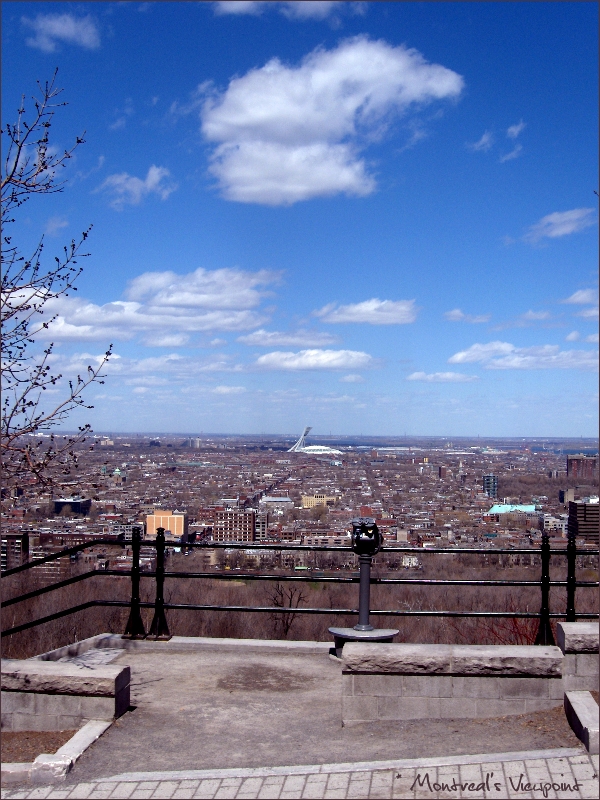 Montreal's Viewpoint