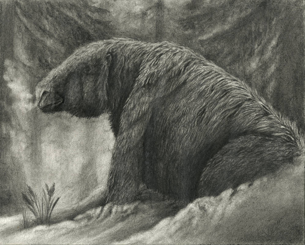 Frost Giant by vasiraptor on DeviantArt