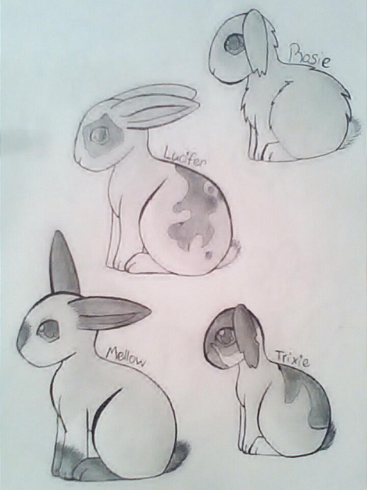 Dash The Rabbit Deviantart rabbits by Dashrabbit1 on DeviantArt