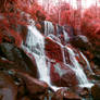 98, Toorongo Falls.
