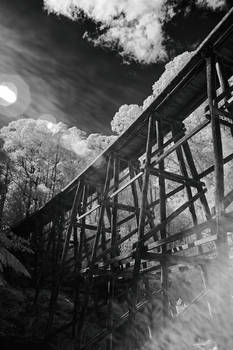 29, Noojee Trestle Bridge.