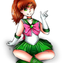 [Raffle] Sailor Moon - Sailor Jupiter