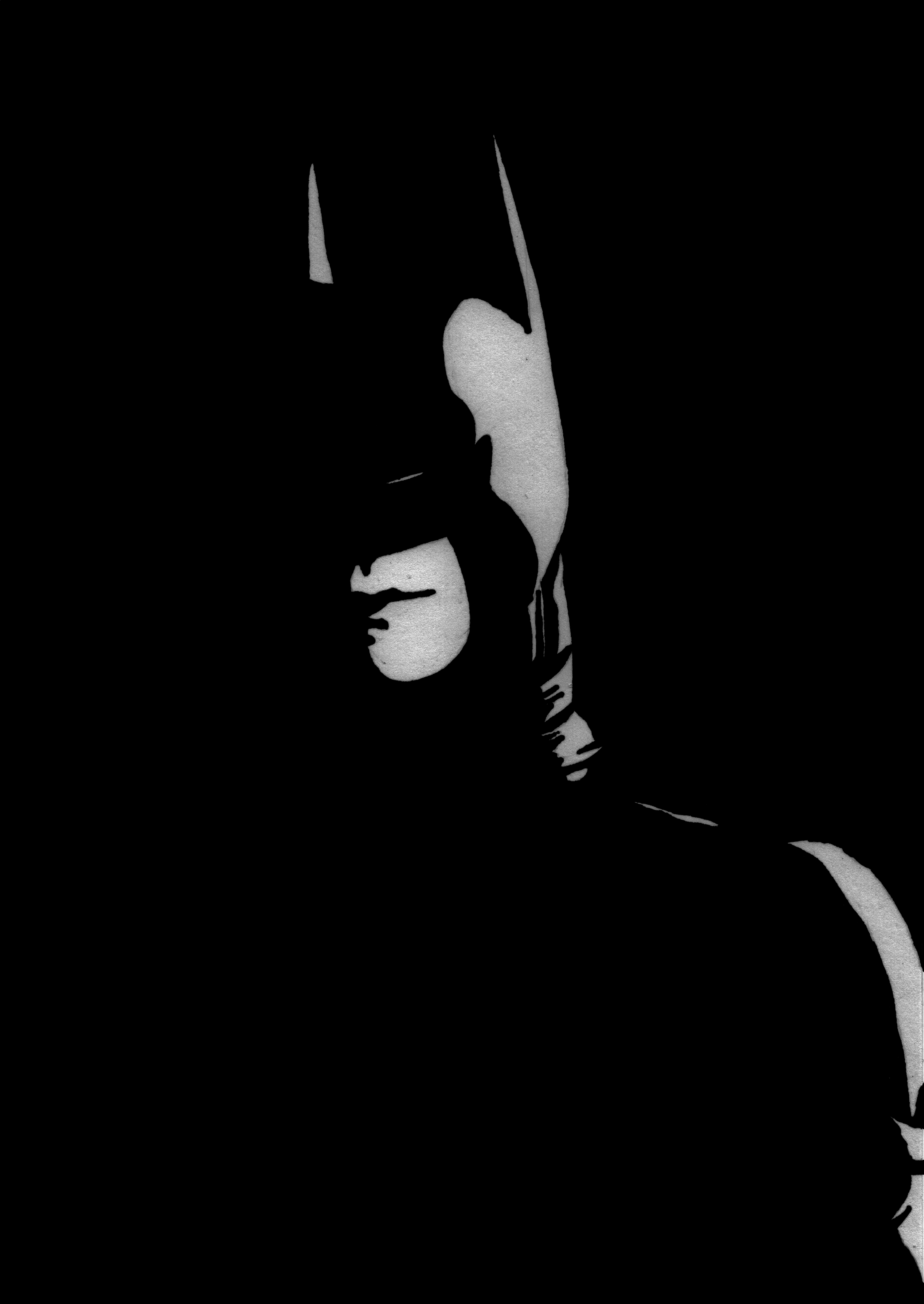 dark knight in the shadows