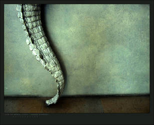 Musee D'Orsay: crocodile tail