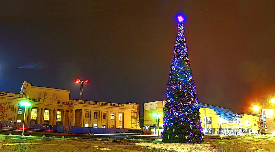 Tree, airport, exposition.