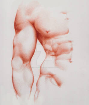 Michelangelo's David Study