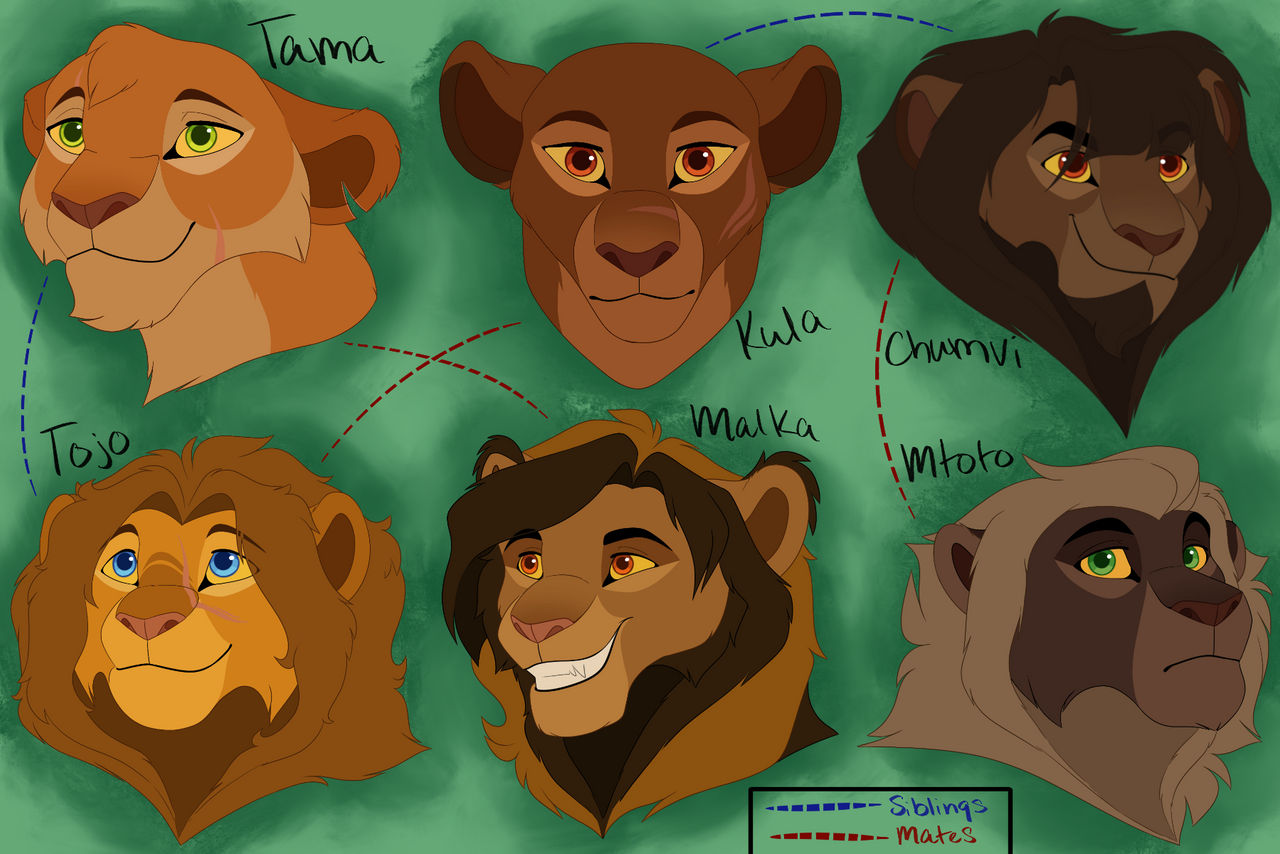 Simba's Gen Character Designs UPDATE by tlkhymmli on DeviantArt