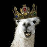 King Llama