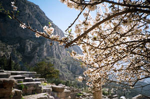 Ancient Delphi