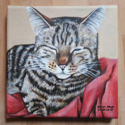 Cat - Traditional Painting 