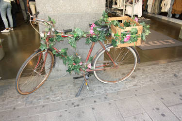 Blumen.Fahrrad