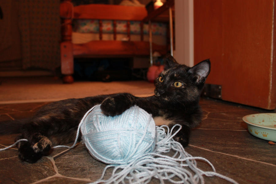 This is MY yarn