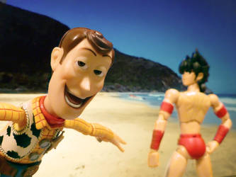 Woody at the beach