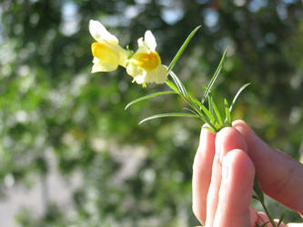 a bouquet for you.